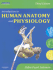 Introduction to Human Anatomy and Physiology