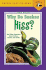 Why Do Snakes Hiss? and Other Questions About Snakes, Lizards, and Turtles (Turtleback School & Library Binding Edition)