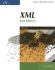 New Perspectives on Xml-Comprehensive