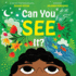 Can You See It? : a Picture Book (Sensing Your World)