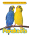 Parakeets (Understanding and Caring for Your Pet)