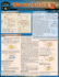 Electronics 2: a Quickstudy Laminated Reference (Quickstudy Reference Guide)