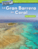 Aventuras De Viaje: La Gran Barrera De Coral: Valor Posicional (Travel Adventures: the Great Barrier Reef: Place Value) (Spanish Version) (Mathematics in the Real World) (Spanish Edition)