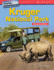 Travel Adventures: Kruger National Park: Repeated Addition (Mathematics in the Real World)