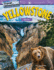 Travel Adventures: Yellowstone: Volume (Mathematics in the Real World)