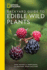 National Geographic Backyard Guide to Edible Wild Plants