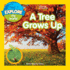 Explore My World a Tree Grows Up Format: Paperback