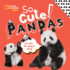 So Cute! Pandas (Cool/Cute)