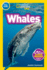 Nationalgeographicreaders: Whales(Pre-Reader) Format: Hardback