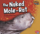The Naked Mole-Rat