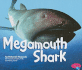 Megamouth Shark (Pebble Plus: Sharks)