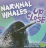 Narwhal Whale Up Close (First Facts Whales and Dolphins Up Close)