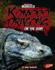 Komodo Dragons: on the Hunt (Blazers; Killer Animals)