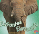 Elefantes/Elephants