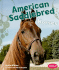 American Saddlebred Horses (Pebble Books: Horses)