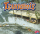 Library Book: Tsunamis (Rise and Shine)