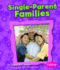 Single-Parent Families (My Family)