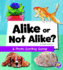 Alike Or Not Alike? : a Photo Sorting Game (Eye-Look Picture Games)