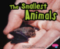 The Smallest Animals (Extreme Animals)