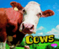 Cows