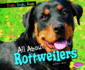 All About Rottweilers (Pebble Plus; Dogs, Dogs, Dogs)