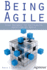 Being Agile: Your Roadmap to Successful Adoption of Agile