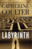 Labyrinth (an Fbi Thriller (23))