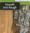 Smooth and Rough (My World of Science)