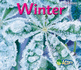 Winter (Seasons: Acorn)