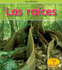 Las Races (Las Plantas) (Spanish Edition)