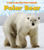 Polar Bear (Heinemann Read and Learn, Level K: a Day in the Life: Polar Animals)