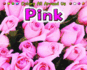 Pink (Colors All Around Us)