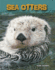 Sea Otters (Living in the Wild: Sea Animals)