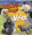 Animals in Danger in Africa (Heinemann First Library)