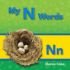 Teacher Created Materials-Targeted Phonics: My N Words-Guided Reading Level C