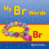 Teacher Created Materials-Targeted Phonics: My Br Words-Guided Reading Level B