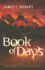 Book of Days: a Novel