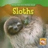 Sloths