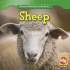 Sheep (Animals That Live on the Farm)