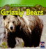 Grizzly Bears (Animals That Live in the Tundra)