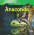 Anaconda