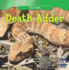 Death Adder (Killer Snakes)