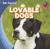 Lovable Dogs (Pet Corner)