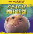 Deadly Pufferfish (Small But Deadly)