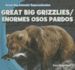 Great Big Grizzlies / Enormes Osos Pardos (Great Big Animals / Superanimales) (English and Spanish Edition)