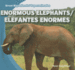 Enormous Elephants / Elefantes Enormes (Great Big Animals / Superanimales) (English and Spanish Edition)