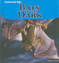Bats in the Dark (Creatures of the Night)