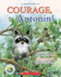 Courage, Antonin! (French Edition)