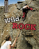 Wild Rock: Climbing and Mountaineering