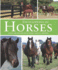 Horses (Animal Encyclopedia)